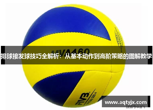 排球接发球技巧全解析：从基本动作到高阶策略的图解教学