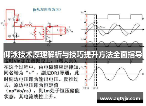 仰泳技术原理解析与技巧提升方法全面指导