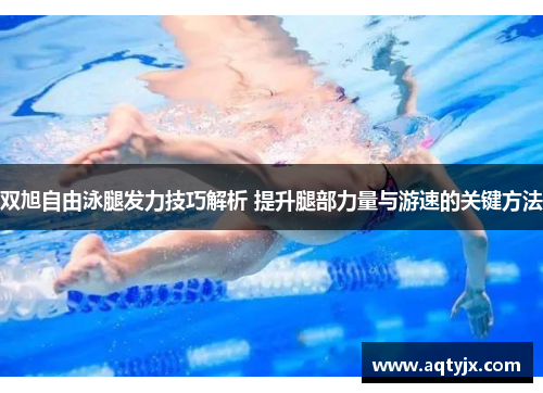 双旭自由泳腿发力技巧解析 提升腿部力量与游速的关键方法