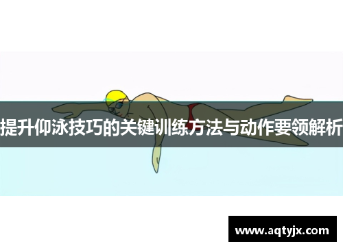 提升仰泳技巧的关键训练方法与动作要领解析