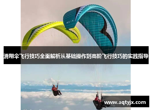 滑翔伞飞行技巧全面解析从基础操作到高阶飞行技巧的实践指导