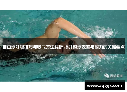 自由泳呼吸技巧与吸气方法解析 提升游泳效率与耐力的关键要点