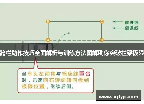 跨栏动作技巧全面解析与训练方法图解助你突破栏架极限